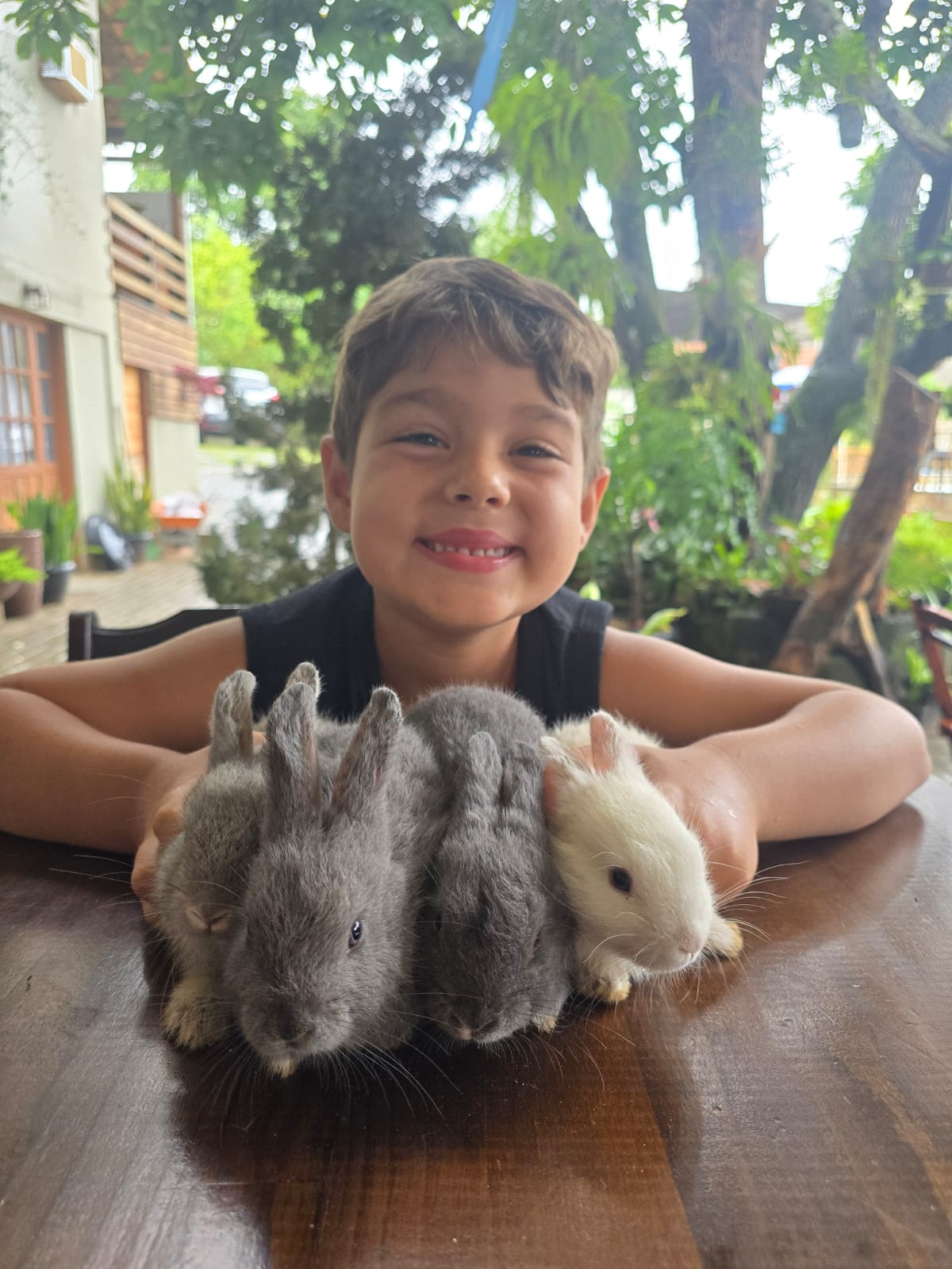 Foto de exemplo — Pequenos animais